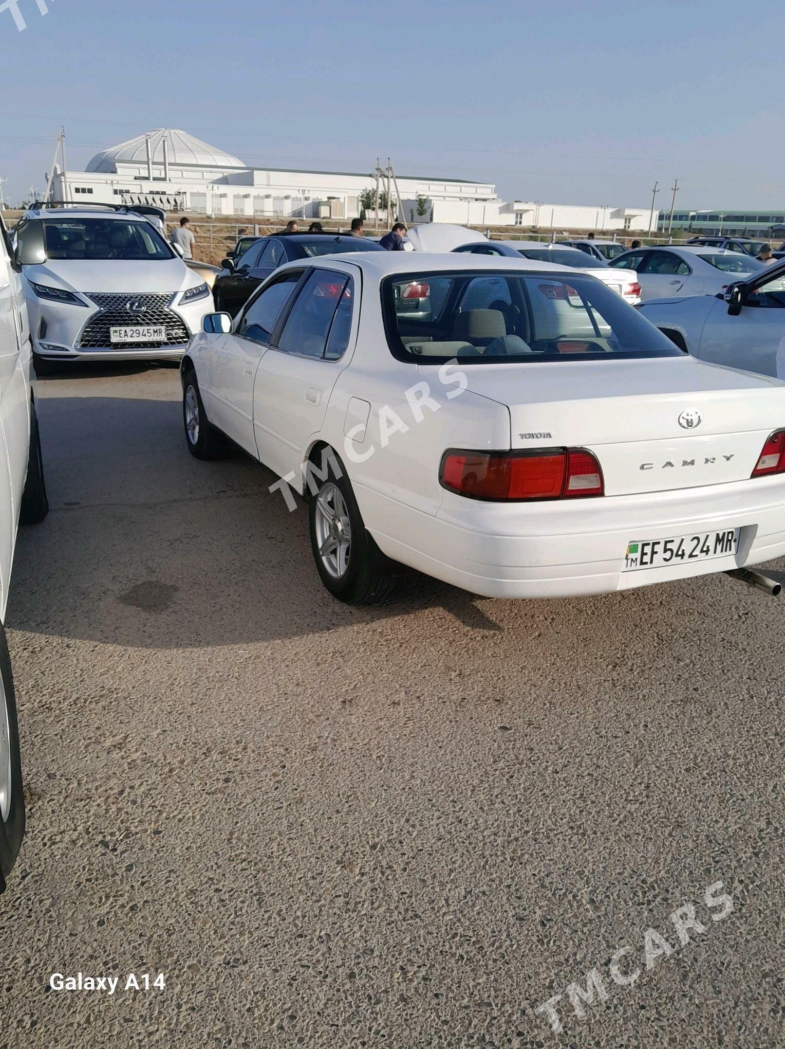 Toyota Camry 1995 - 80 000 TMT - Sakarçäge - img 5