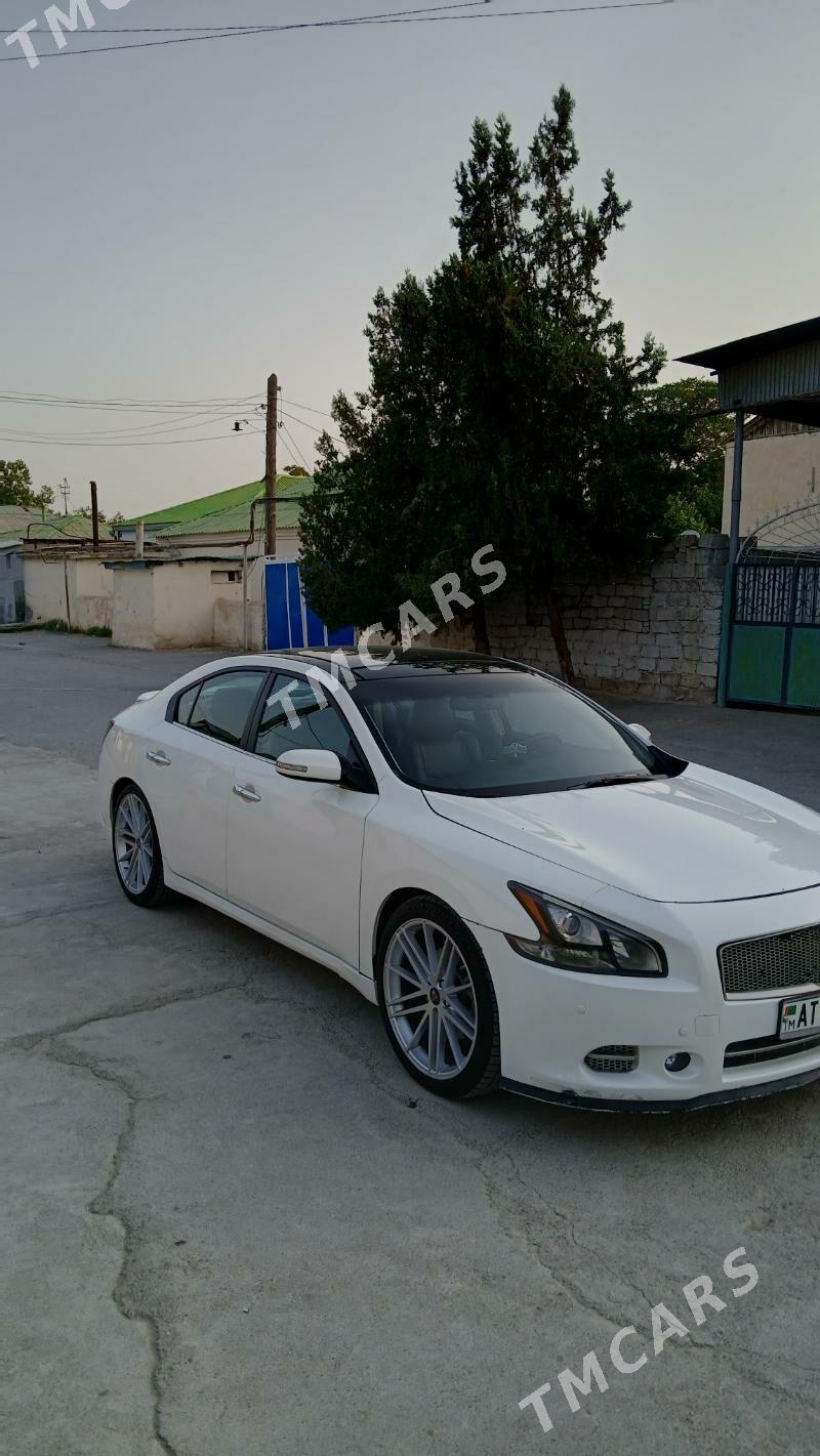 Nissan Maxima 2010 - 190 000 TMT - Aşgabat - img 5