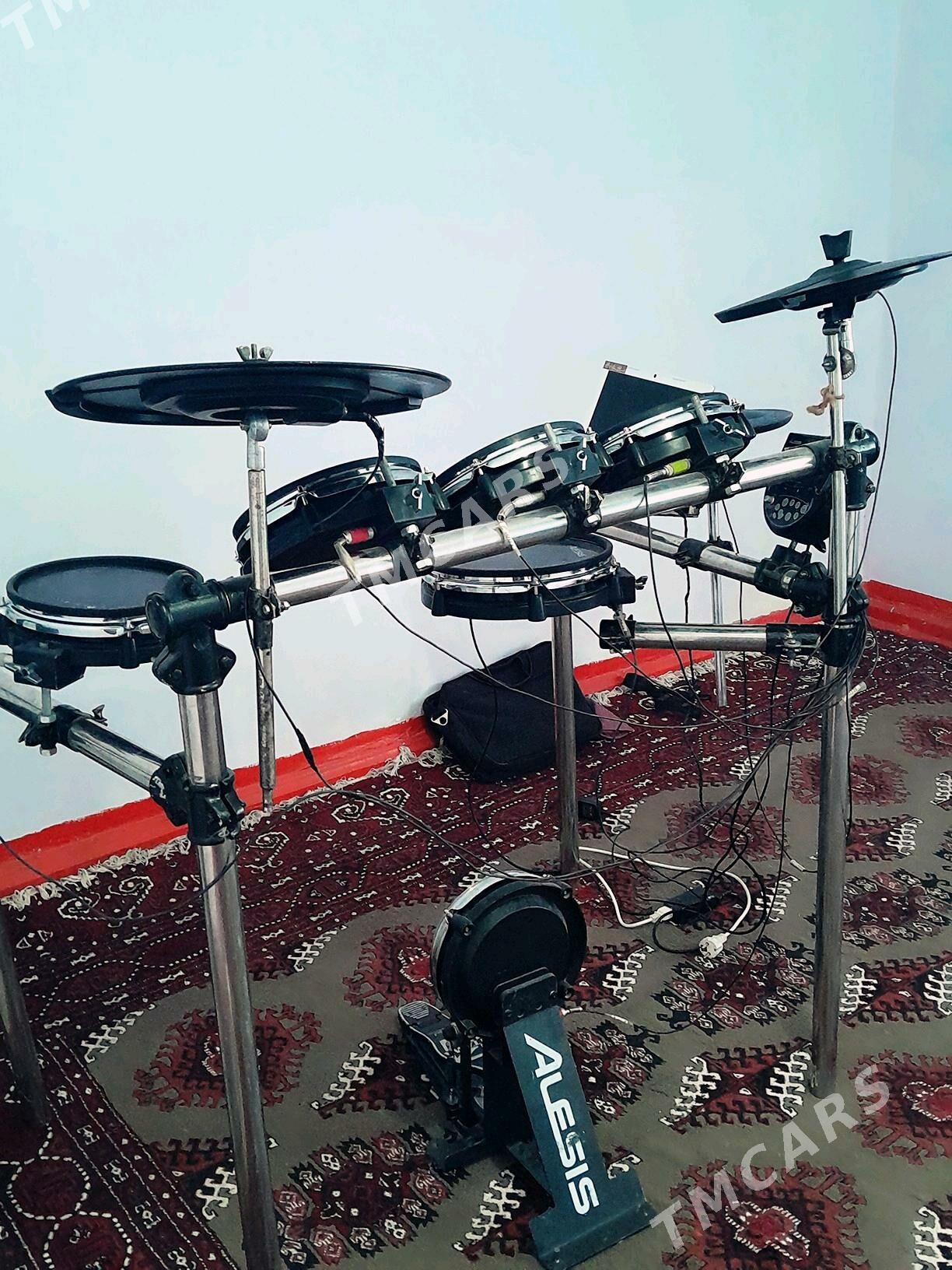 ALESIS BARABAN - Теджен - img 4