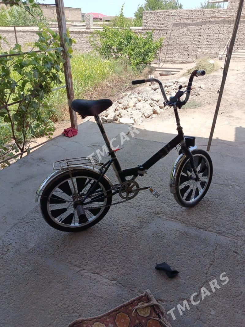 Kama - Daşoguz - img 2