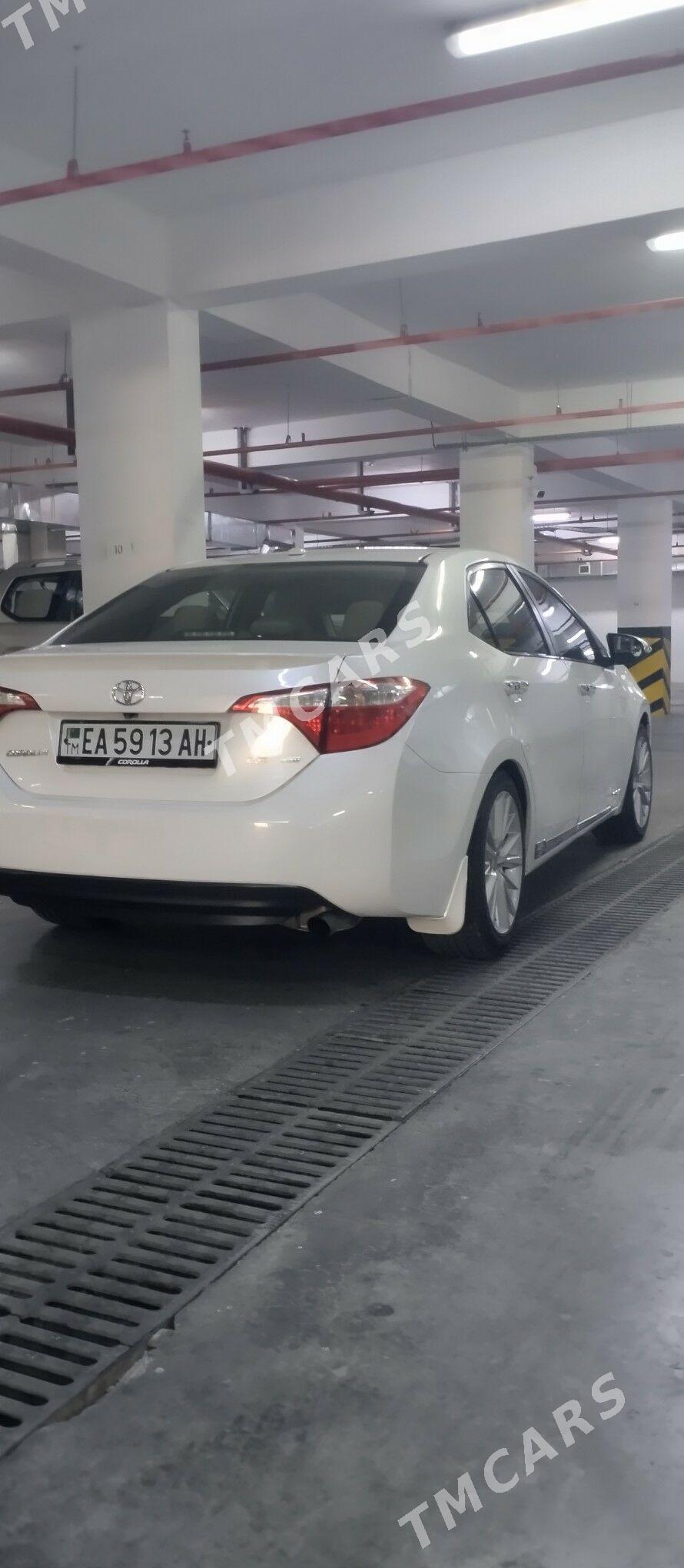 Toyota Corolla 2014 - 175 000 TMT - 15-й этап - img 3