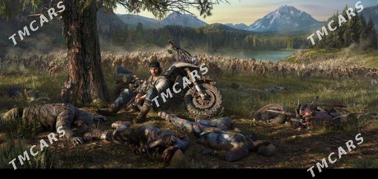 Days Gone - Керки - img 1