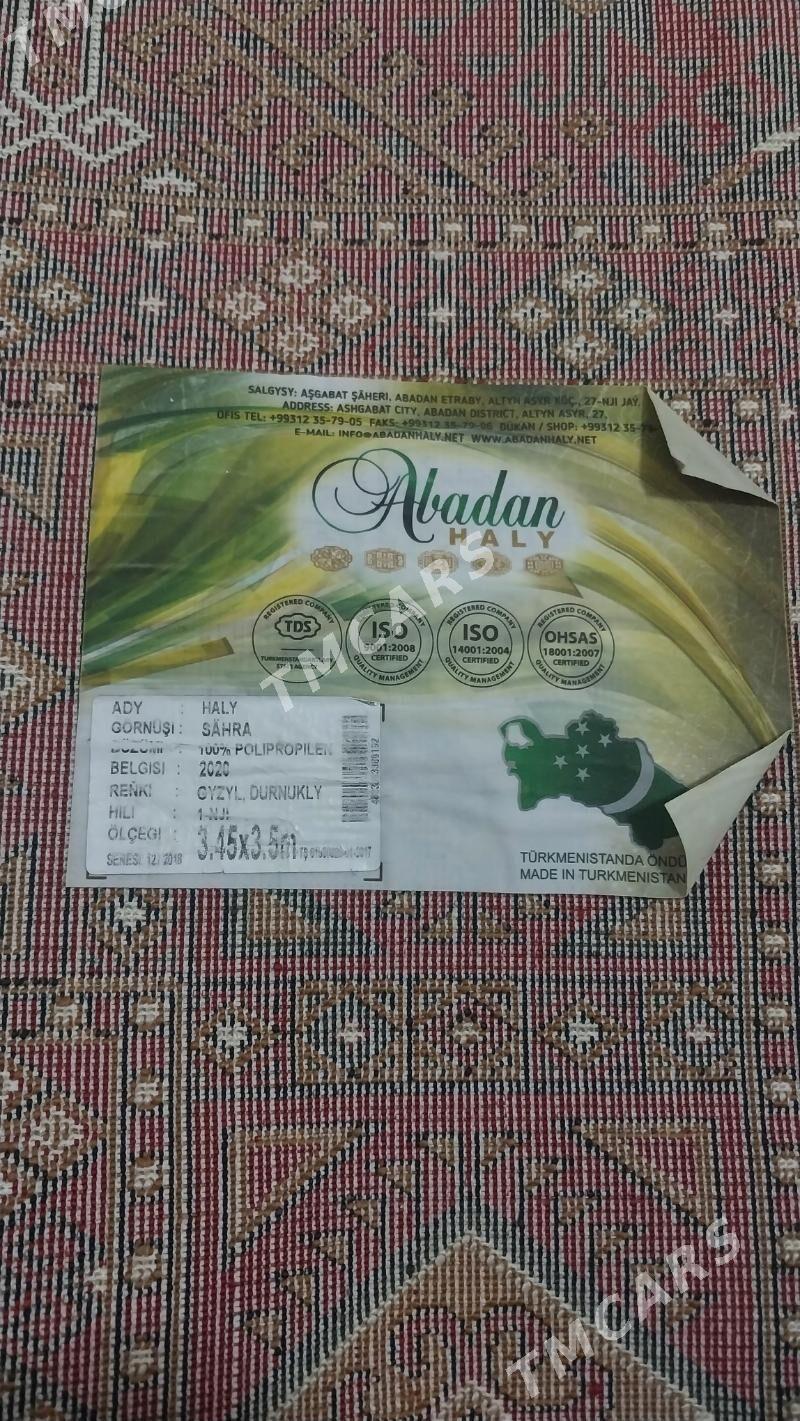 abadan haly gyssagly - Büzmeýin GRES - img 2