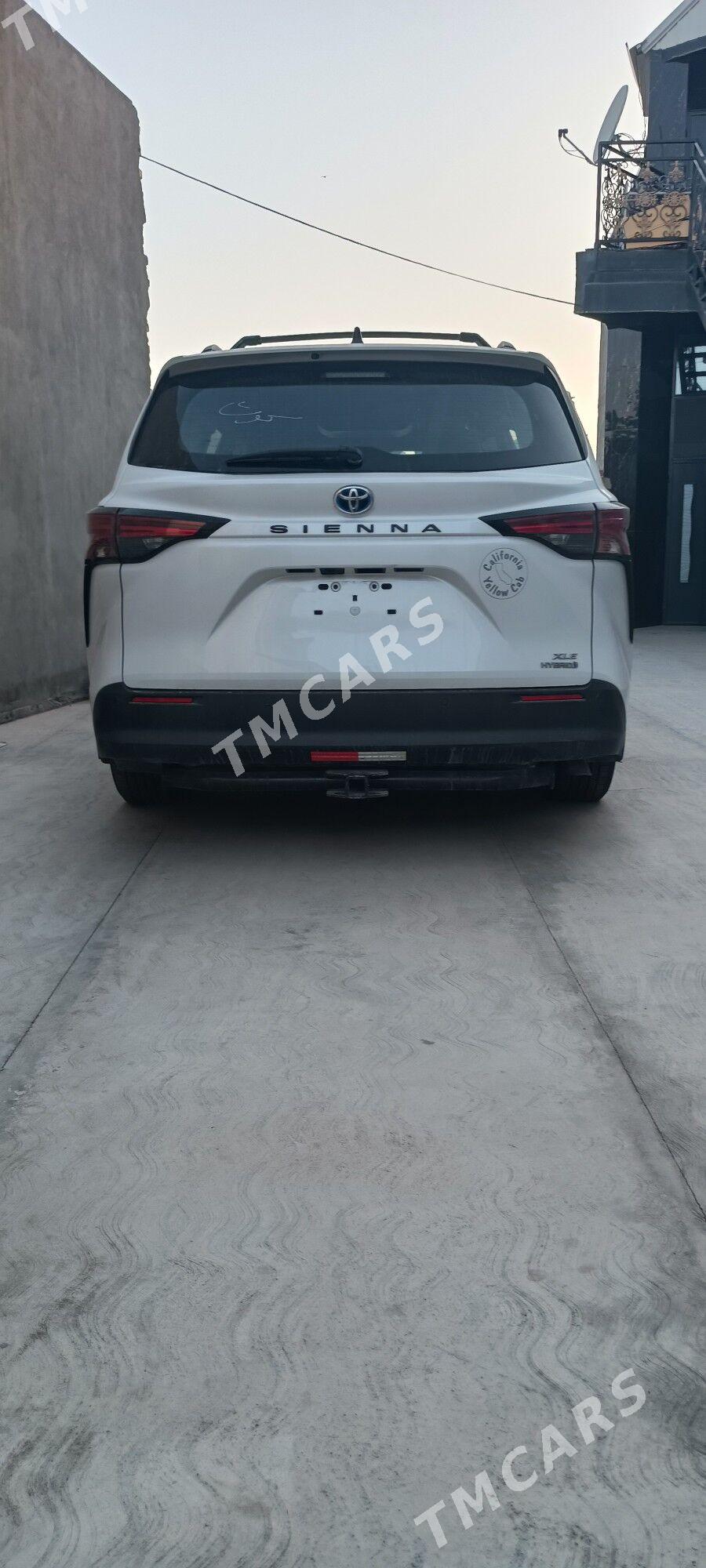 Toyota Sienna 2022 - 490 000 TMT - Mary - img 5
