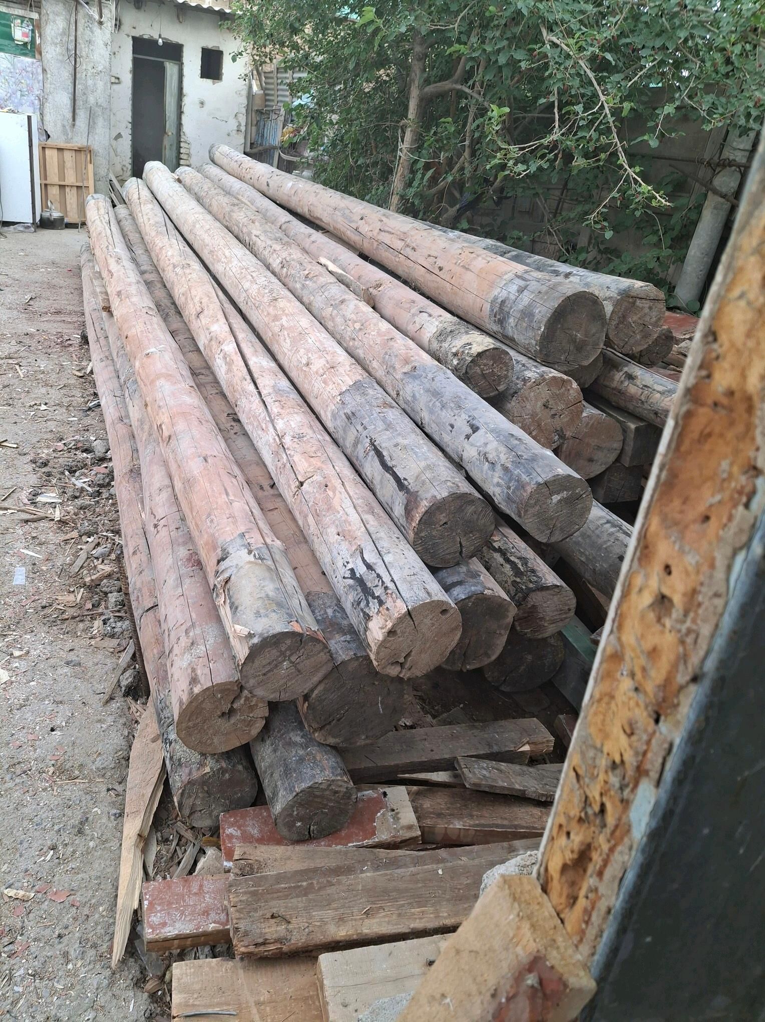 Polluk agac laminat alyas - Ашхабад - img 5