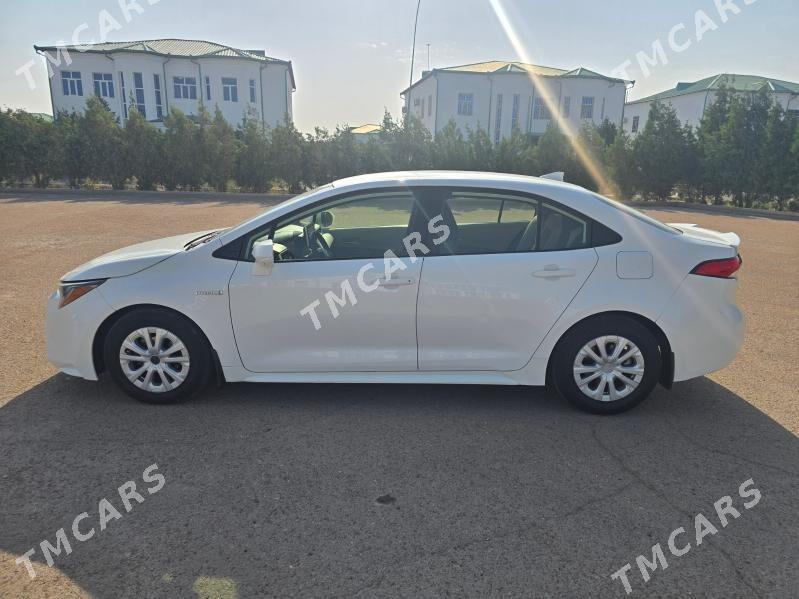 Toyota Corolla Hybrid 2019 - 205 000 TMT - Daşoguz - img 5