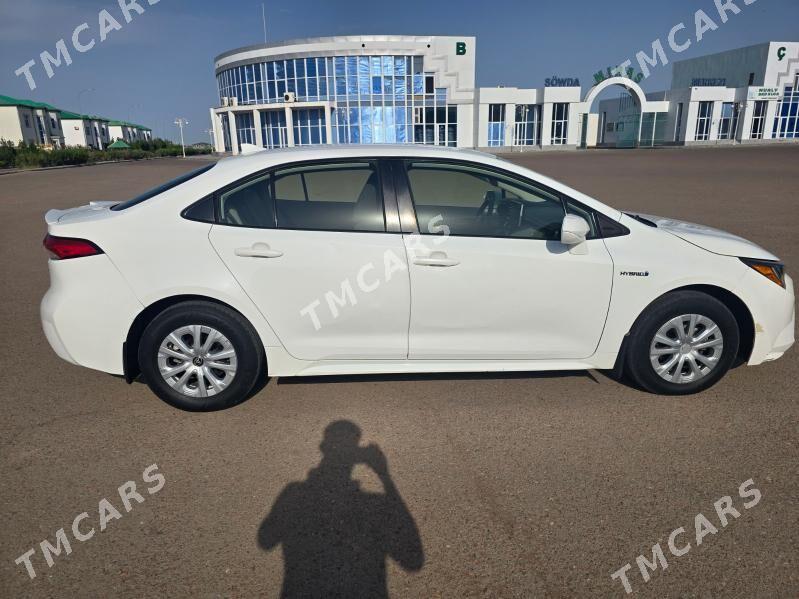 Toyota Corolla Hybrid 2019 - 205 000 TMT - Daşoguz - img 3