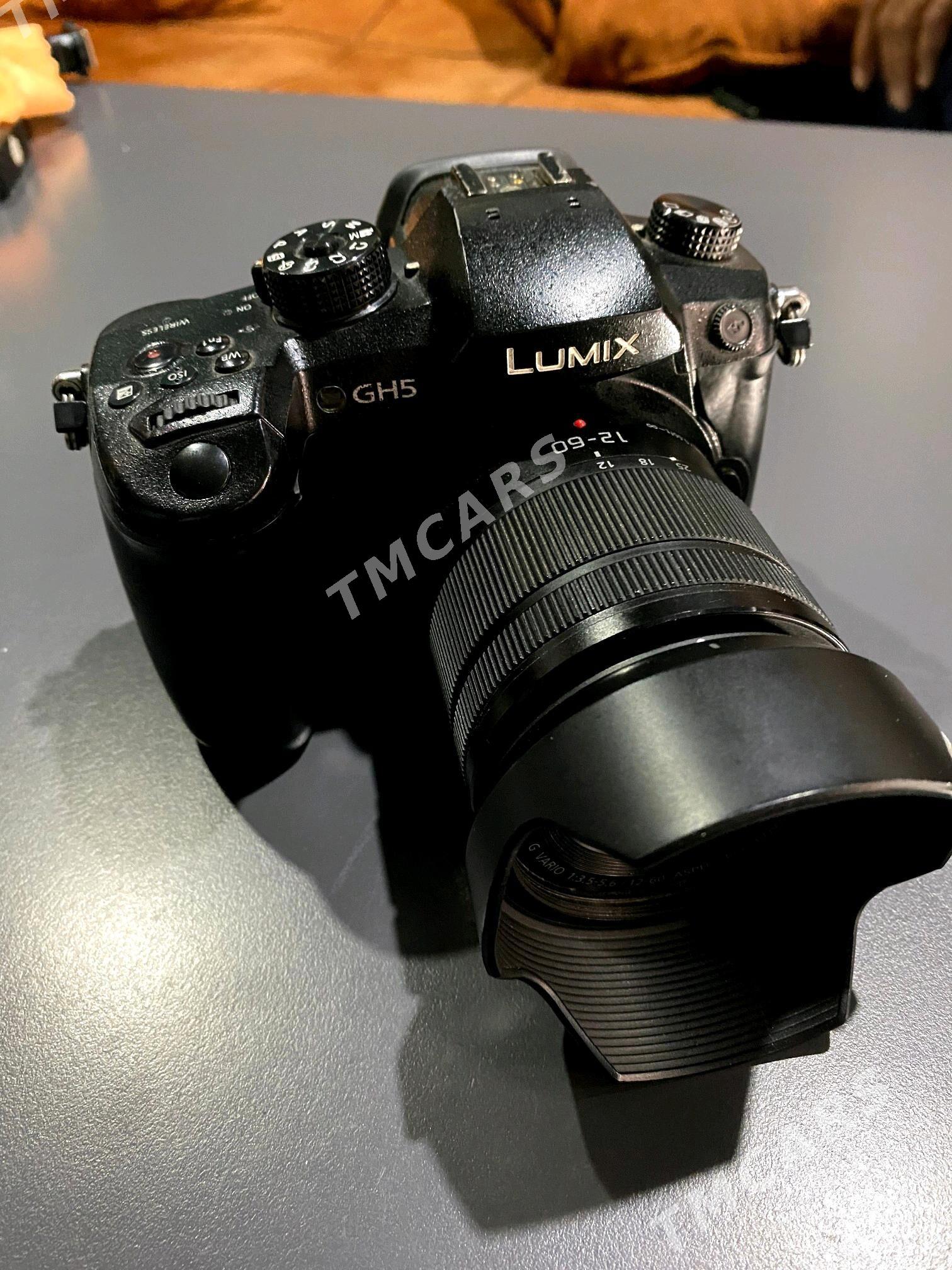 LUMIX GH 5 - Мары - img 4