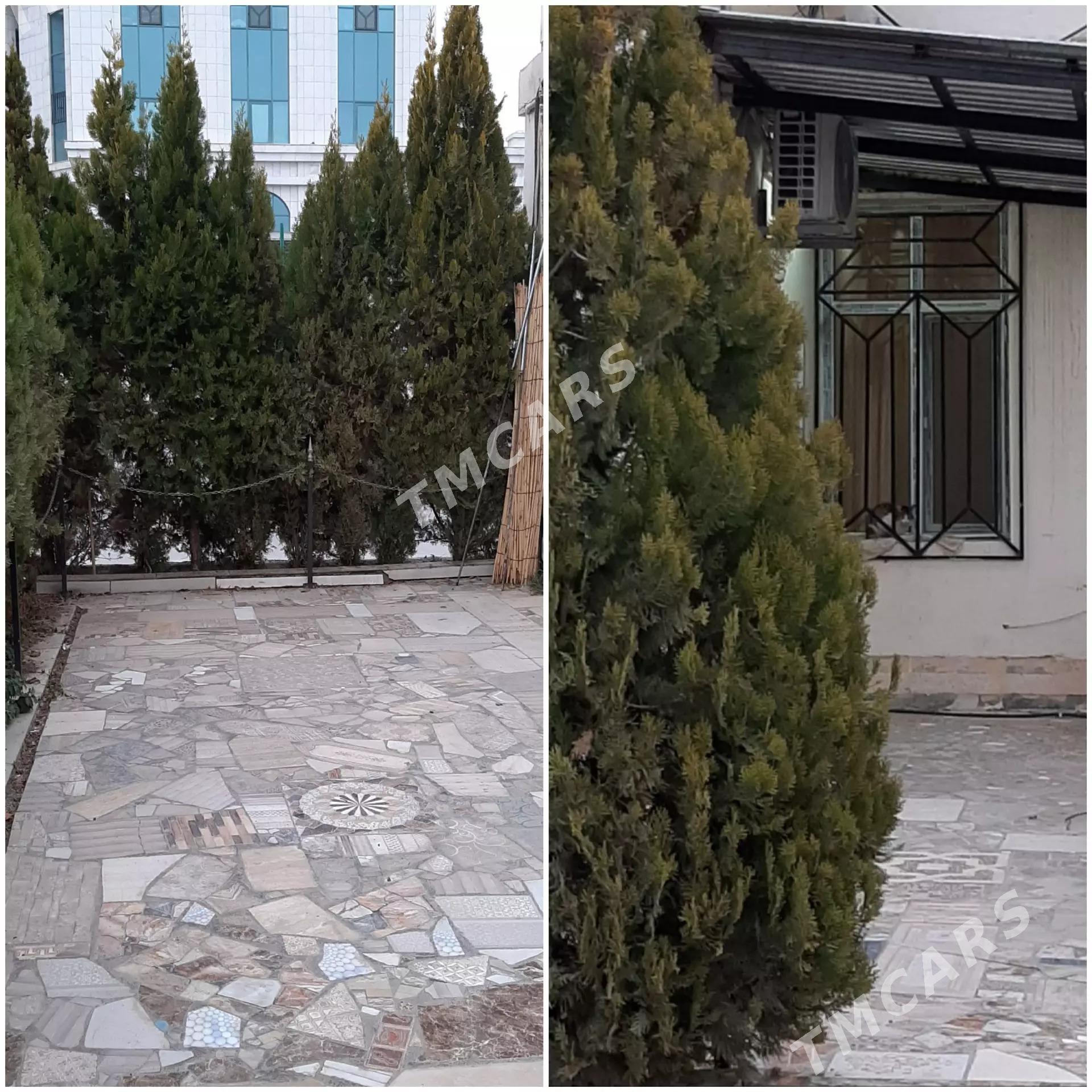 АРЕНДА 1 МКР 6500 - Aşgabat - img 5