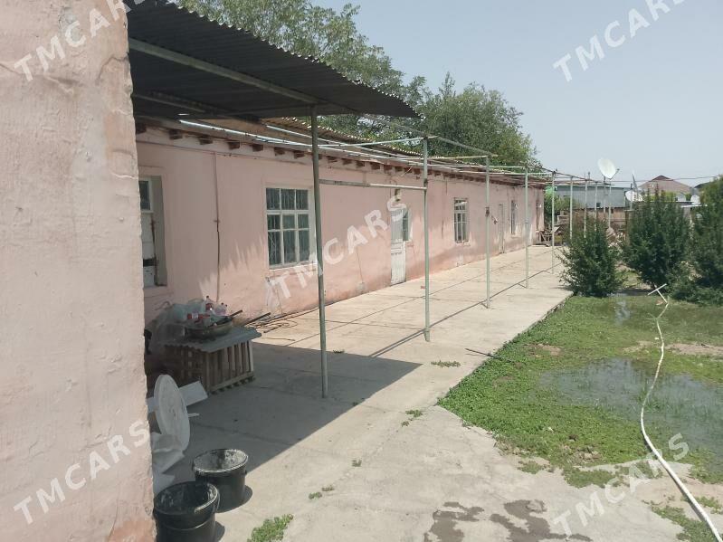 Nawes we demirler Satlyk - Ашхабад - img 3