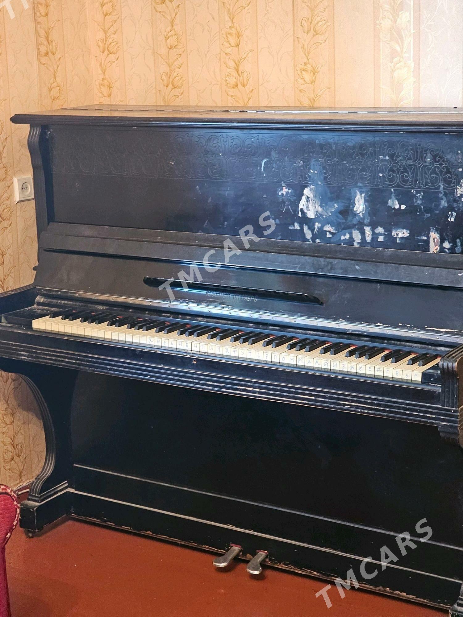 Pianina - Ашхабад - img 2