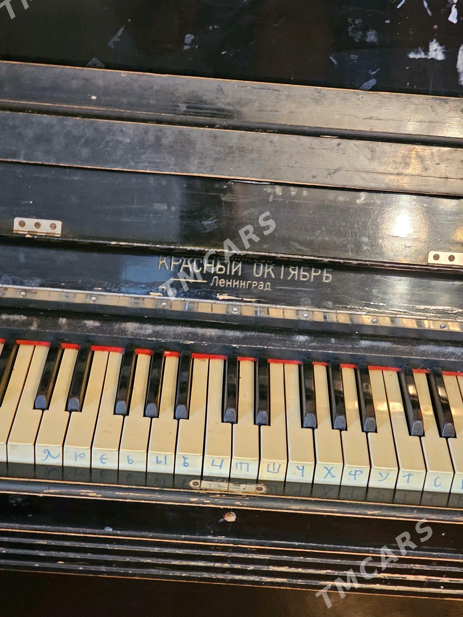 Pianina - Ашхабад - img 3
