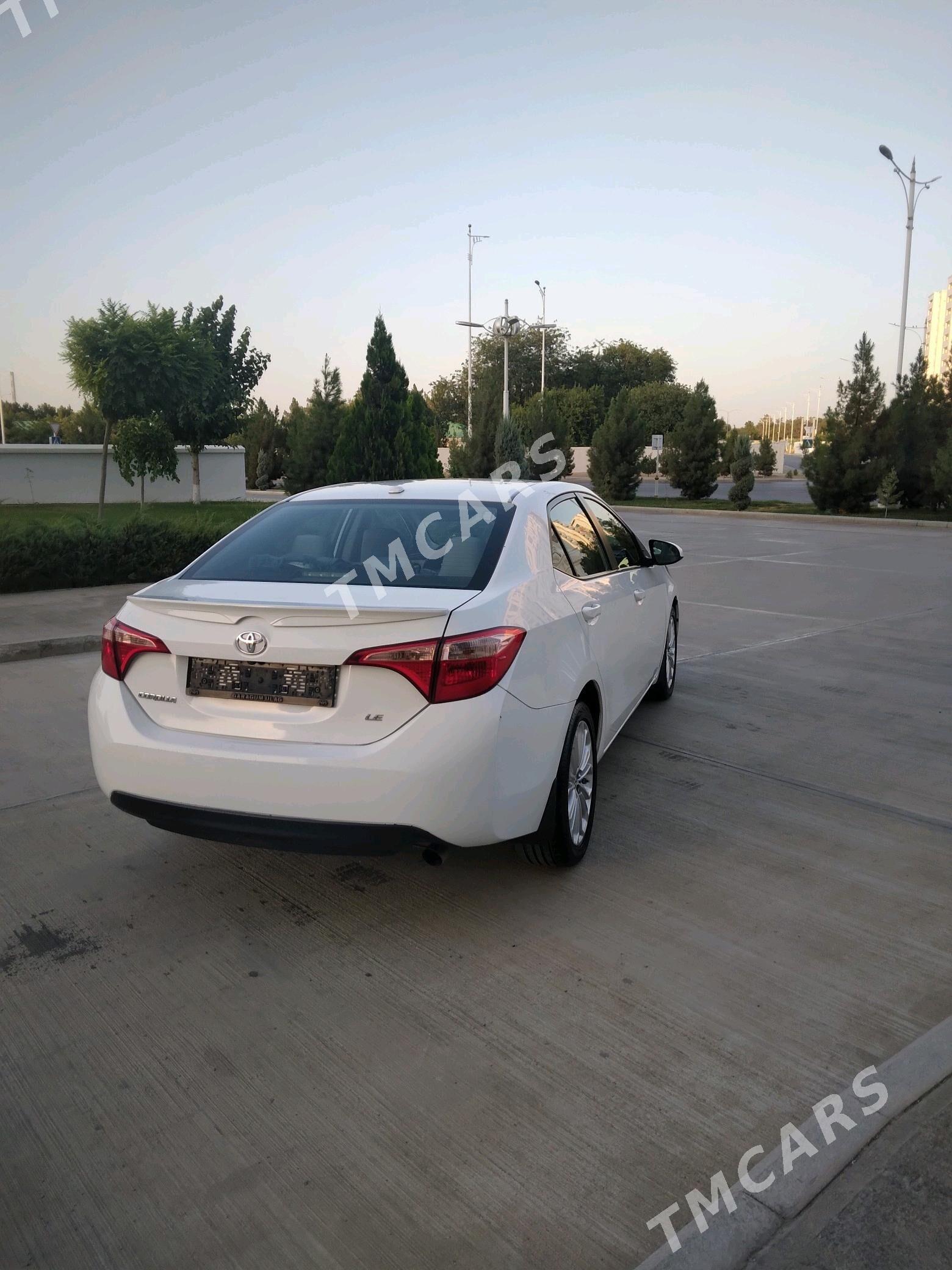Toyota Corolla 2017 - 185 000 TMT - 16-й этап - img 2