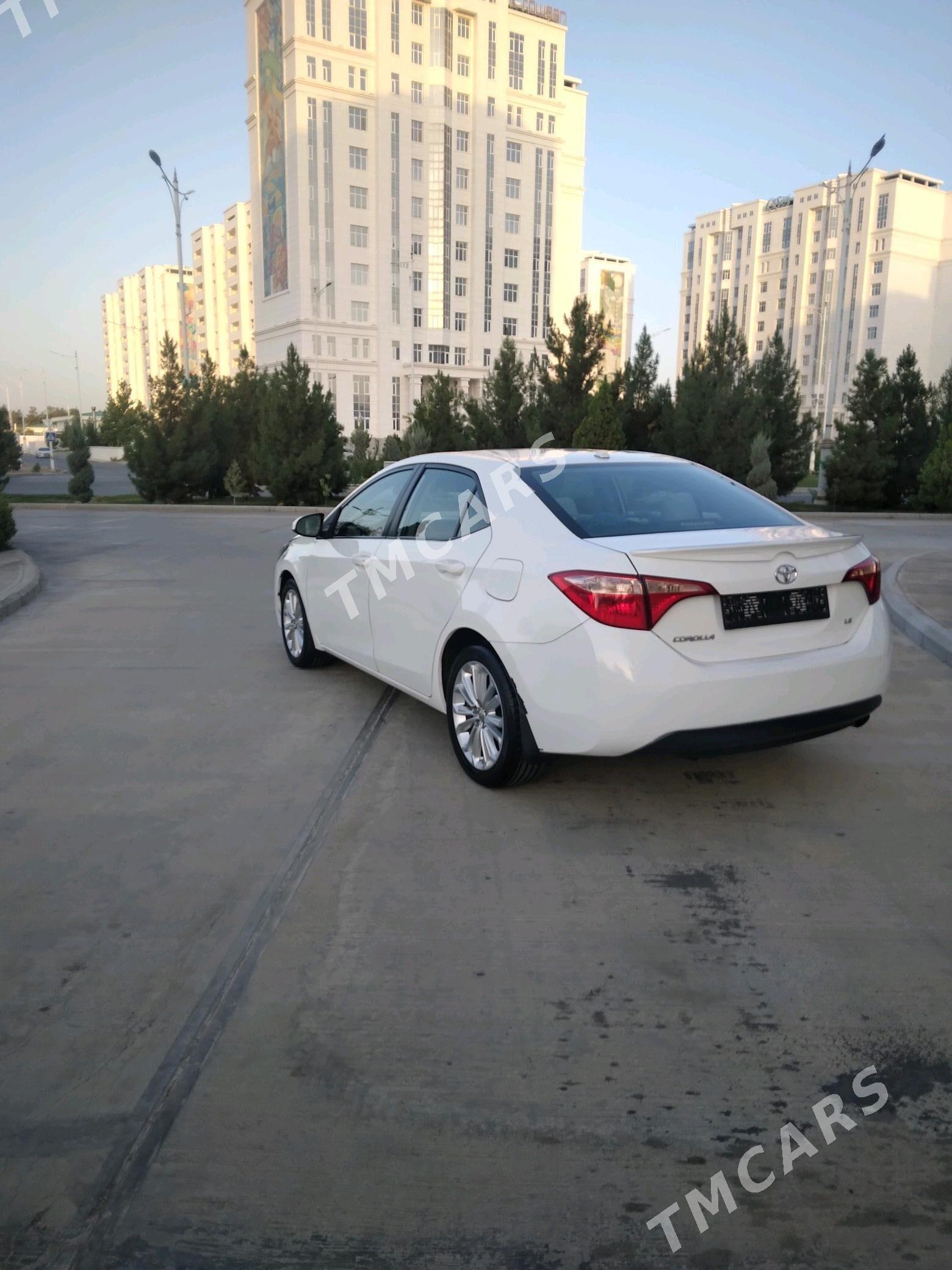 Toyota Corolla 2017 - 185 000 TMT - 16-й этап - img 8