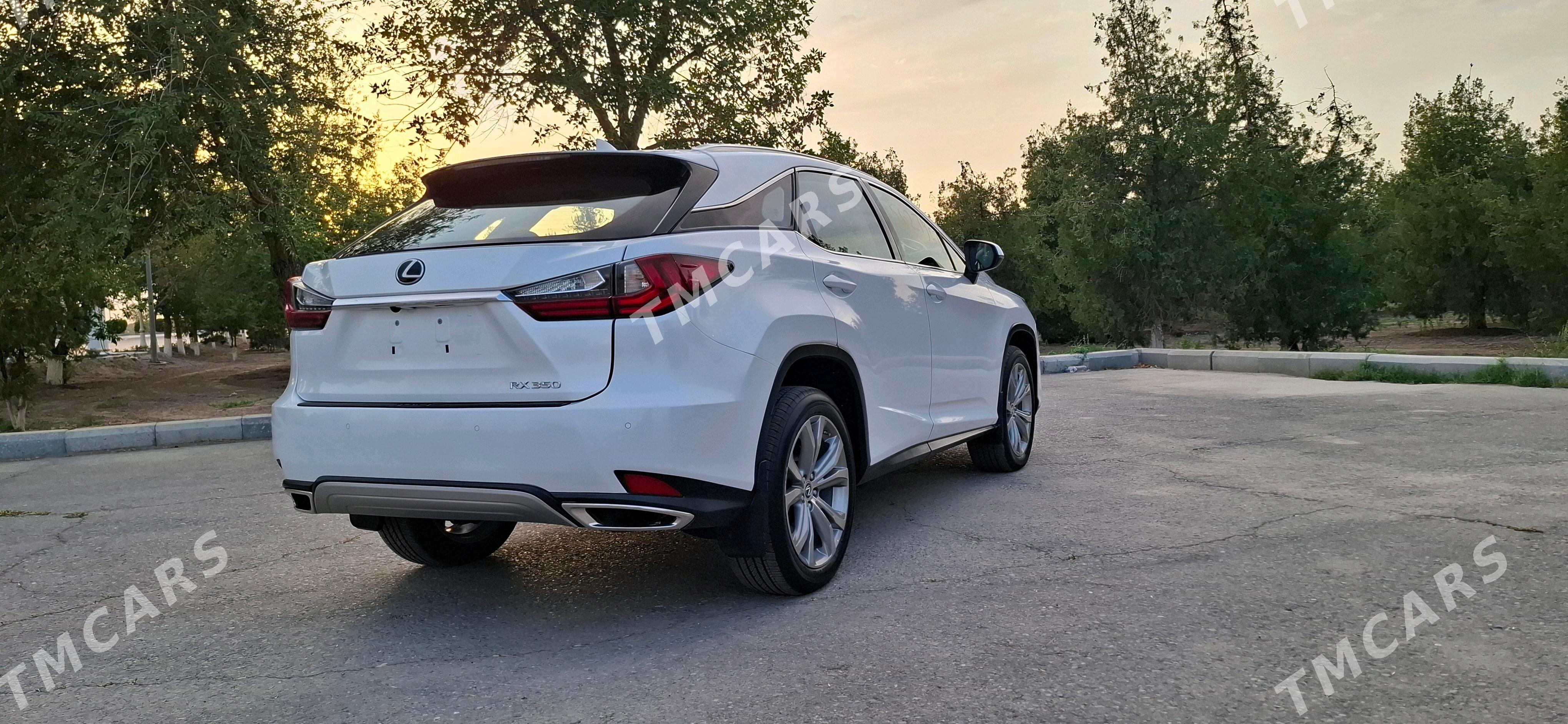 Lexus RX 350 2020 - 650 000 TMT - Daşoguz - img 5