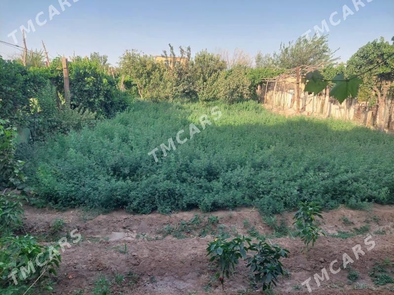Дача Продается - Türkmenabat - img 5