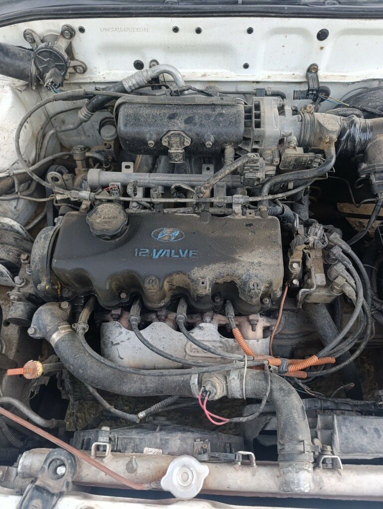 Mator 2 000 TMT - Änew - img 2
