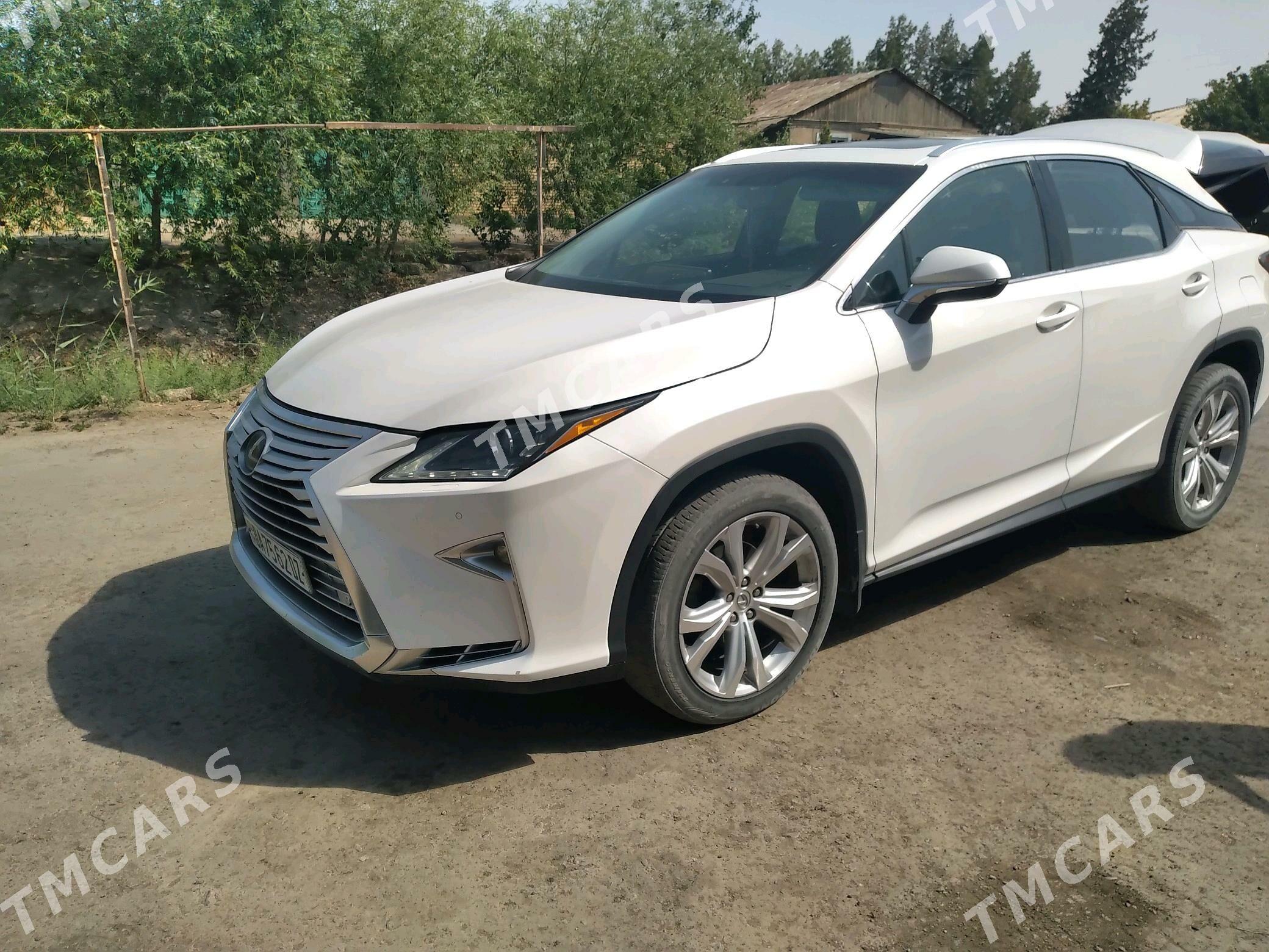 Lexus RX 350 2016 - 470 000 TMT - Görogly (Tagta) - img 2