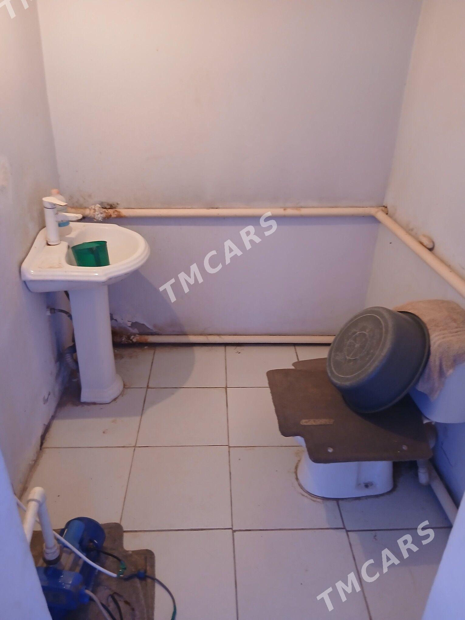 Ucaska jay - Köneürgenç - img 2
