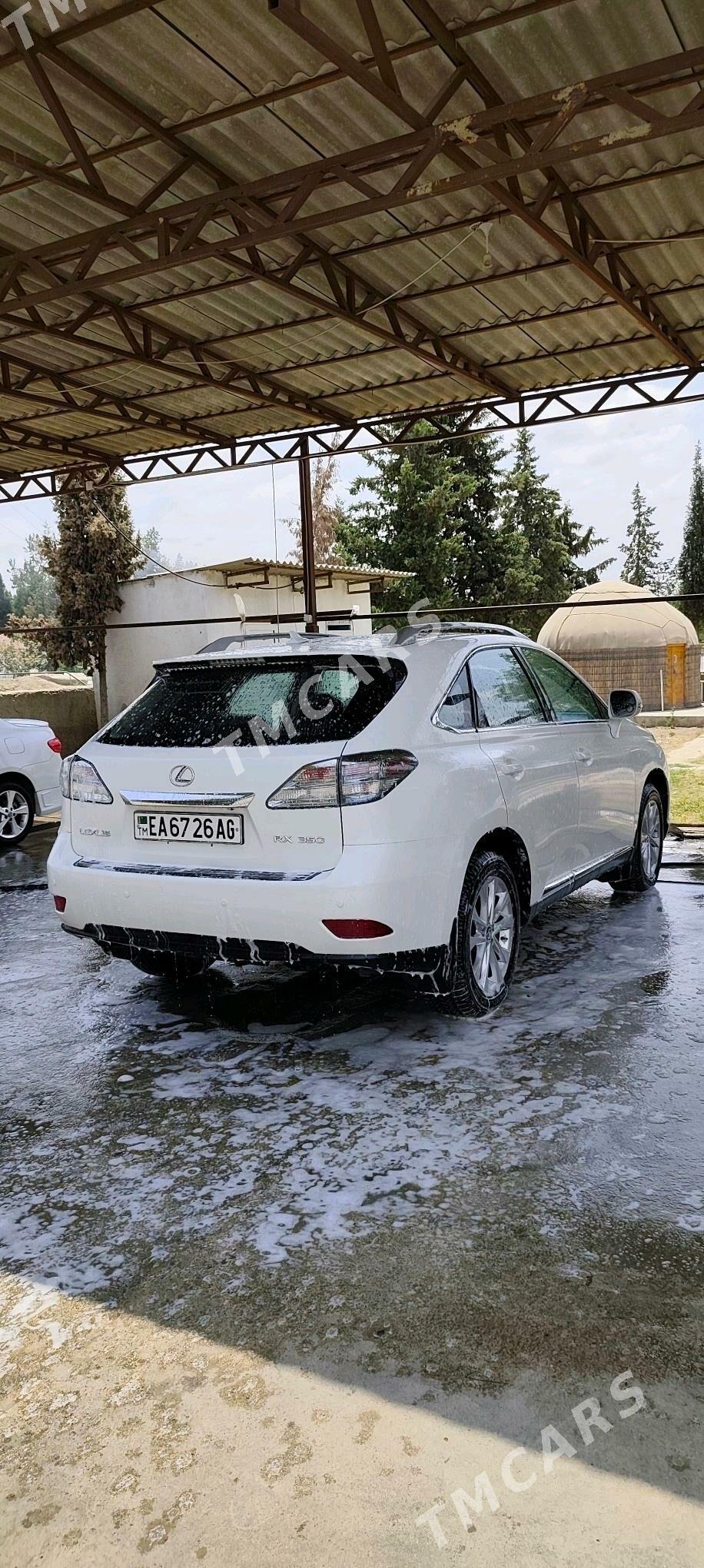 Lexus RX 350 2010 - 370 000 TMT - Aşgabat - img 1