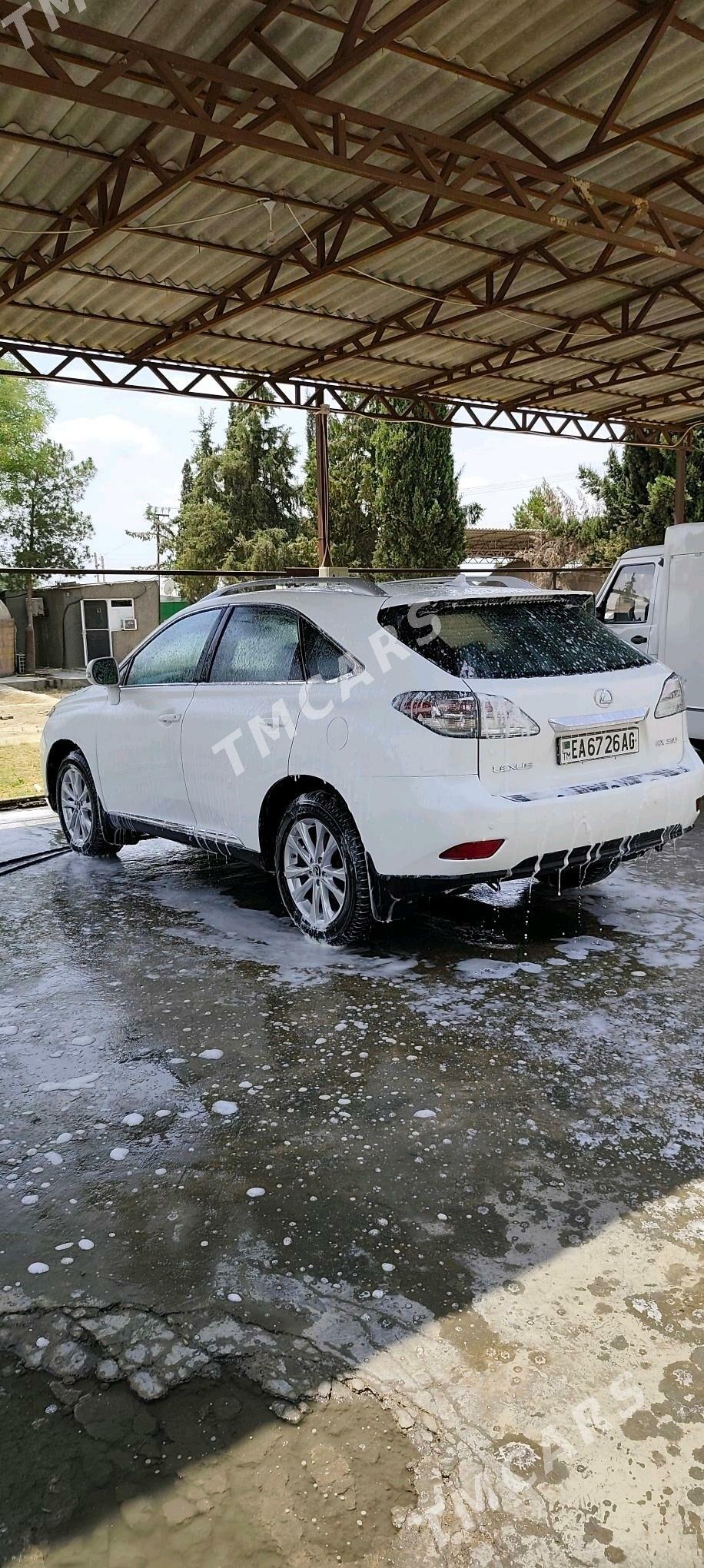 Lexus RX 350 2010 - 370 000 TMT - Aşgabat - img 4