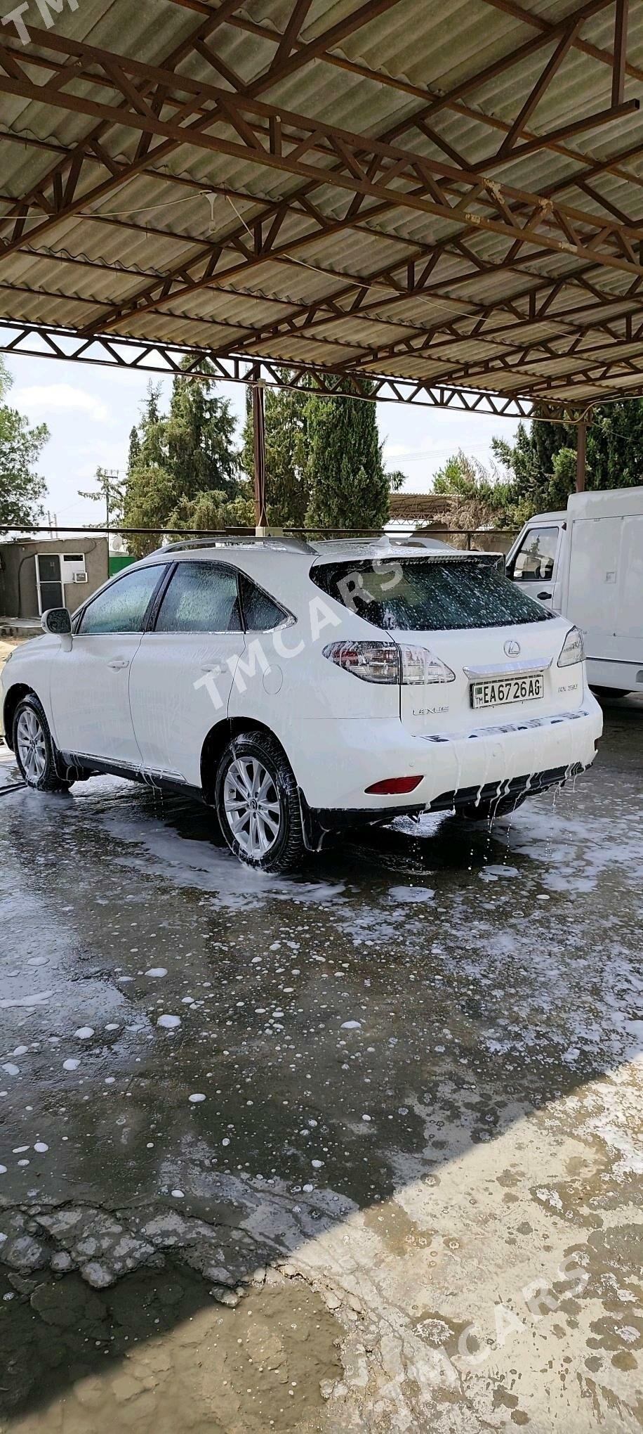 Lexus RX 350 2010 - 370 000 TMT - Aşgabat - img 3
