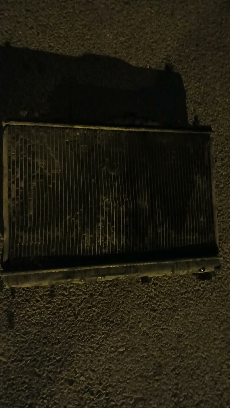 Radiator 250 TMT - Büzmeýin GRES - img 1