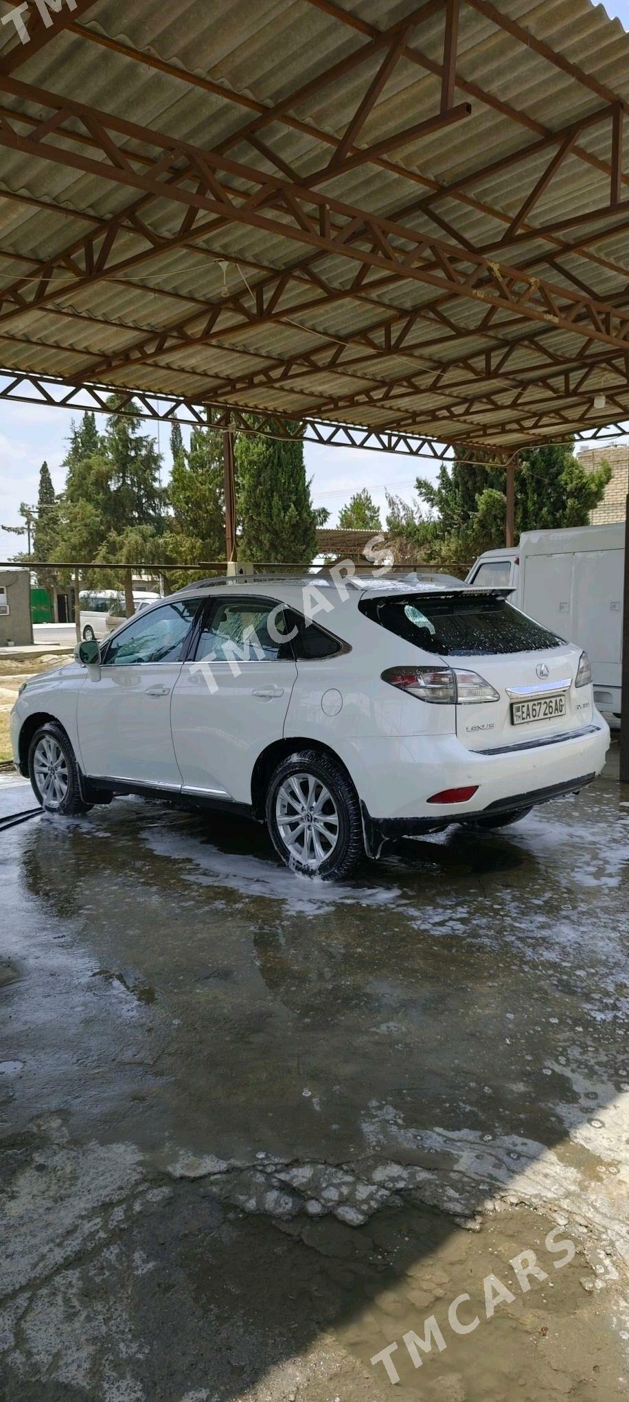 Lexus RX 350 2010 - 370 000 TMT - Aşgabat - img 6