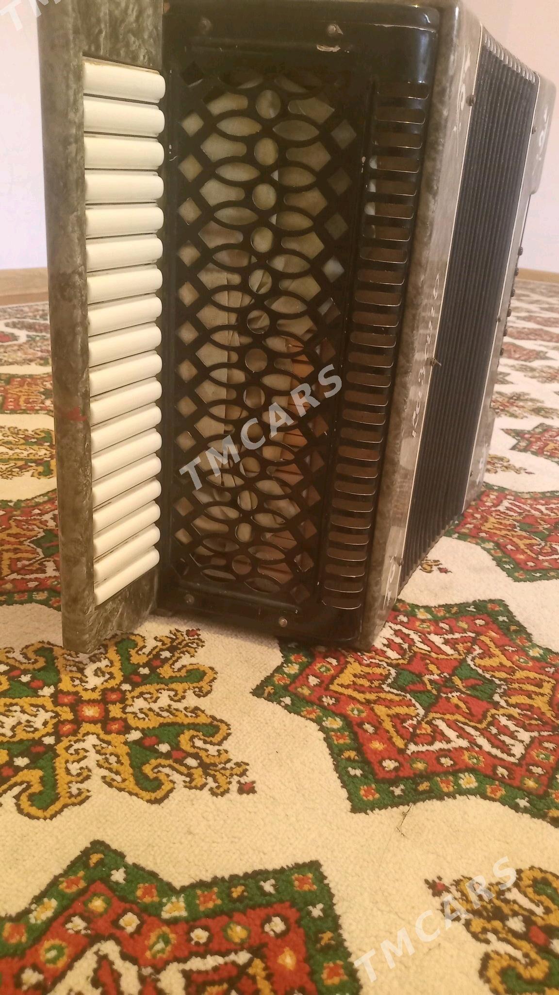akardion - Daşoguz - img 1