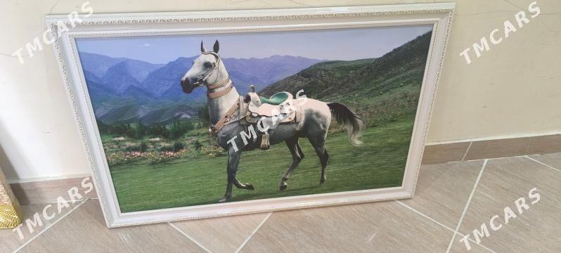portret портрет - Aşgabat - img 5
