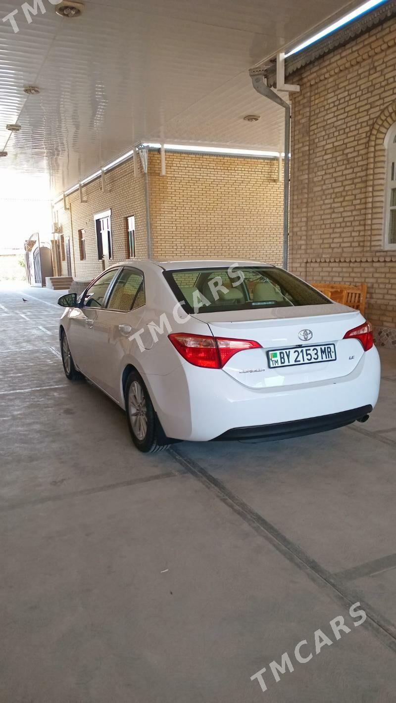 Toyota Corolla 2019 - 207 000 TMT - Mary - img 2