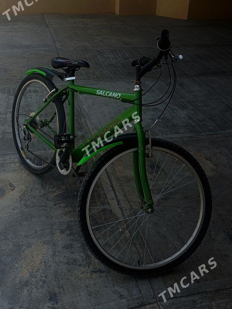 turkmenistan tigir - Херрикгала - img 3