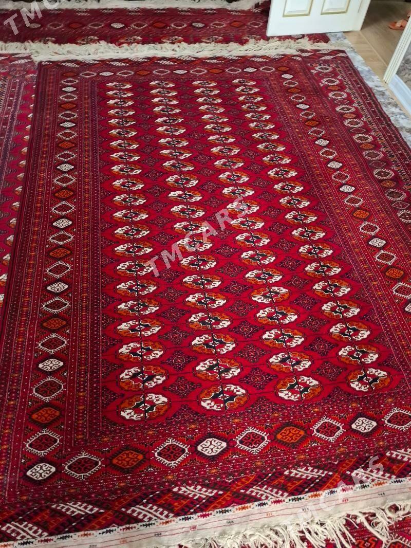 kowry rucnyye turkmenskiye el - 11 mkr - img 8