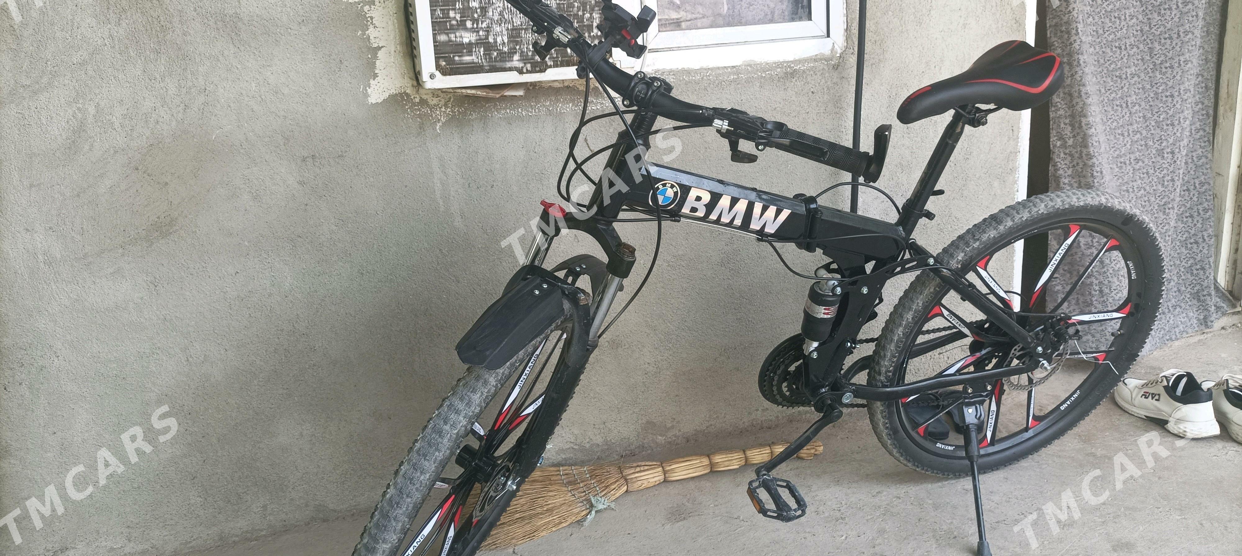 BWM tigir - Bagyr - img 1