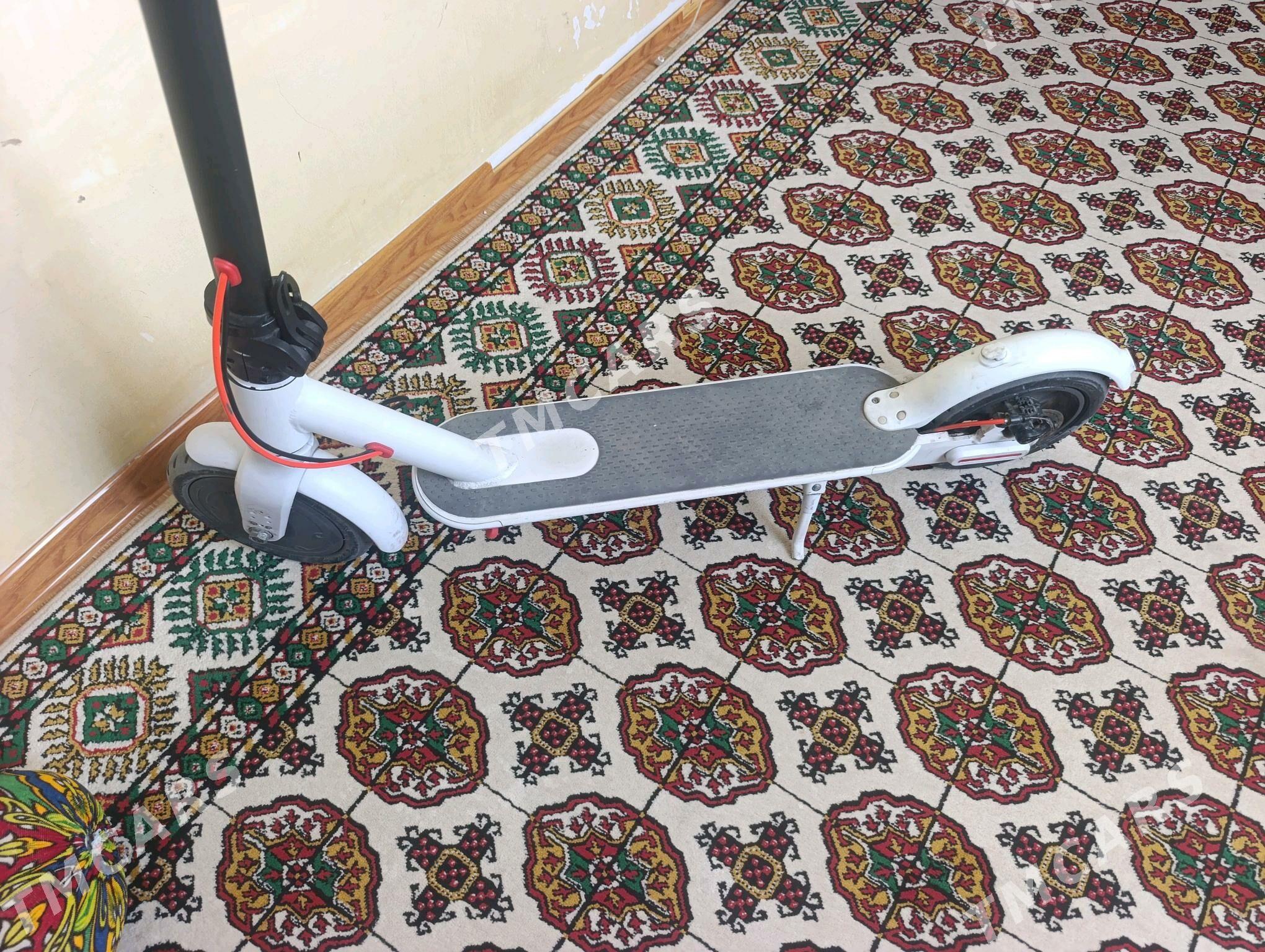 tokkly samakat - Aşgabat - img 2