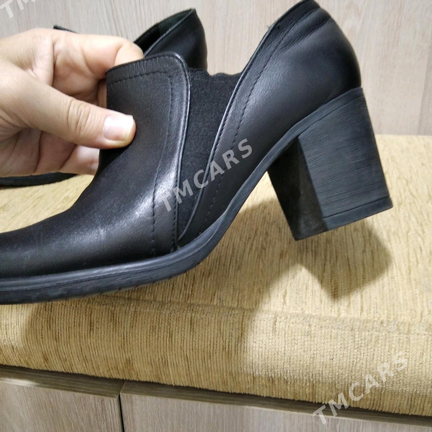 Tergan kowus - Мир 8 - img 1