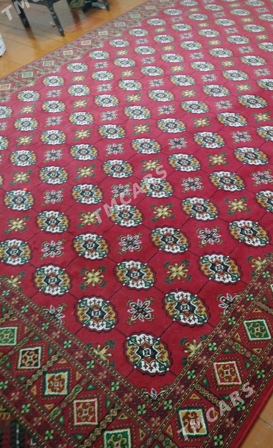 haly - Köneürgenç - img 1