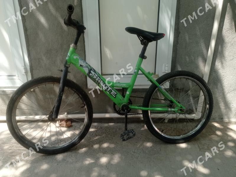 tigir gyssagly 20lik тигир uly - Бедев - img 2