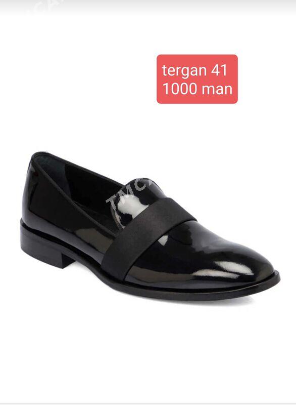 tergan - Кëши - img 1