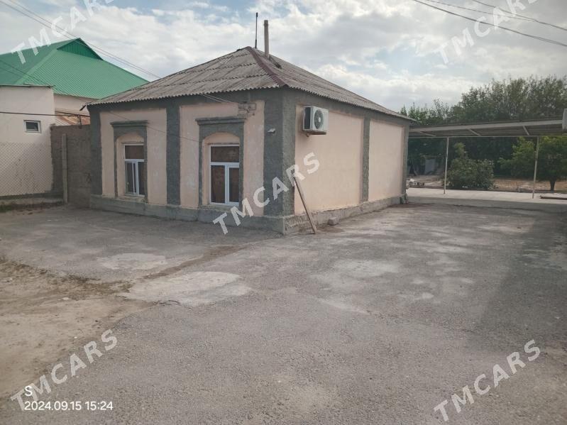 Bagyr - Багир - img 4
