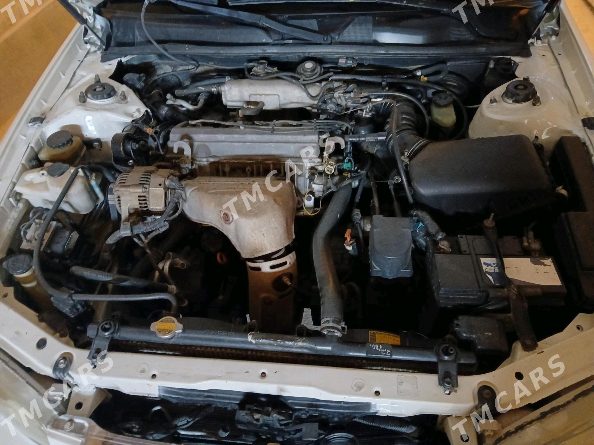 Toyota Camry 2000 - 130 000 TMT - Akdepe - img 8