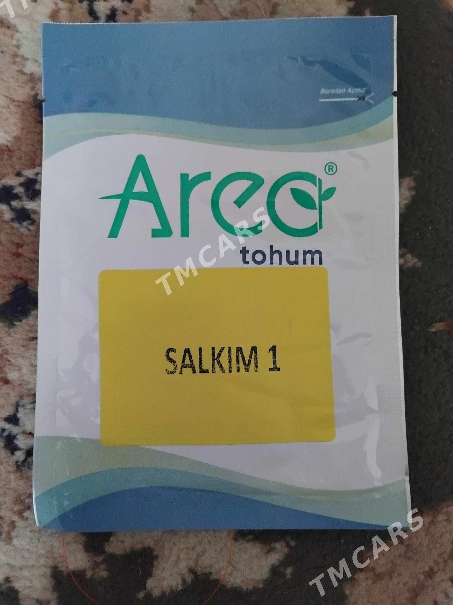 Tohum - Aşgabat - img 1