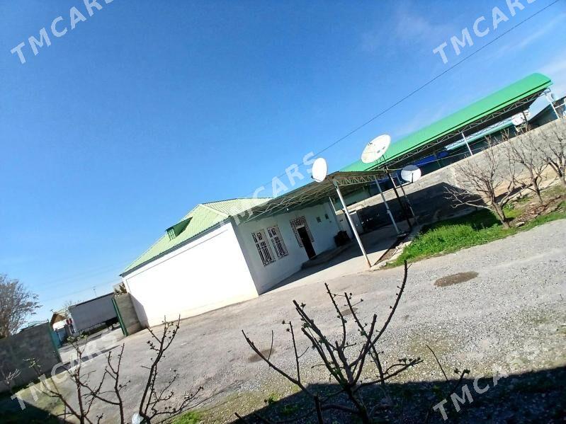 Köne Gämi satlig Jaý - Ак-Бугдайский этрап - img 9