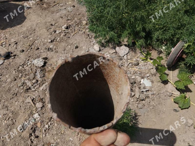 turba - Türkmenabat - img 1
