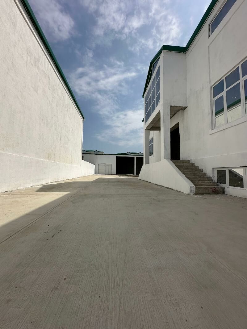 Gami katej - Aşgabat - img 2