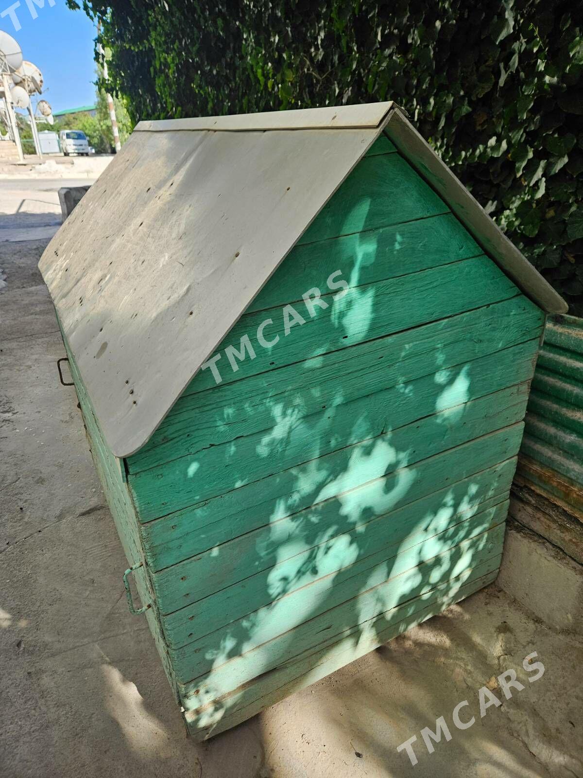 it üçin niyetlenen jaŷ - Türkmenbaşy - img 1