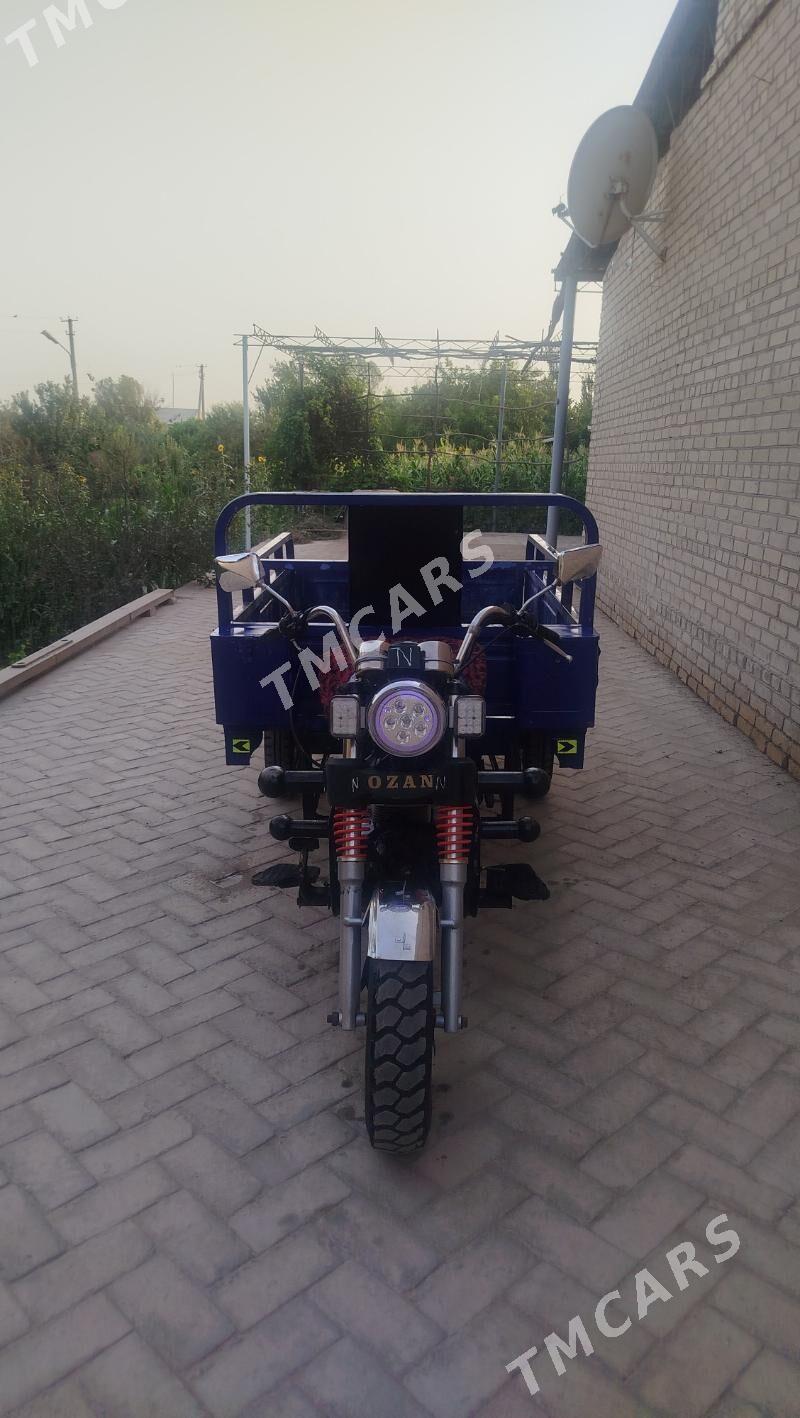 Ozan 200CC 2015 - 15 000 TMT - Halaç - img 3