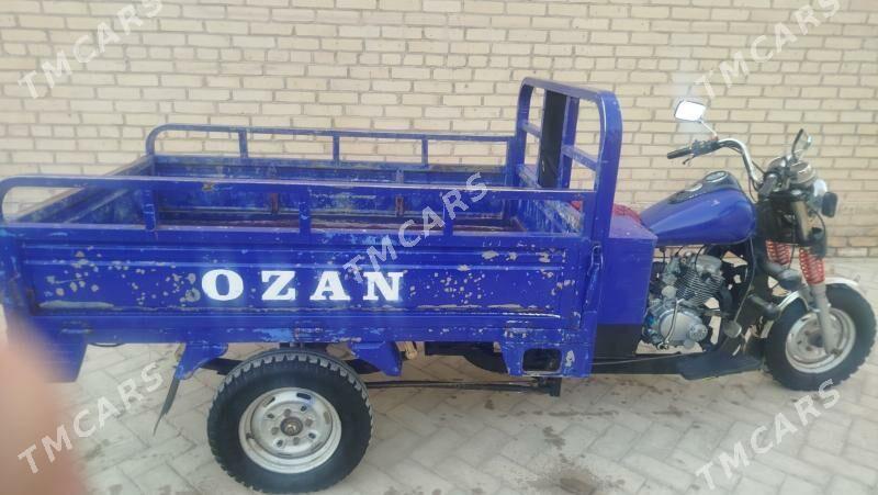 Ozan 200CC 2015 - 15 000 TMT - Halaç - img 5