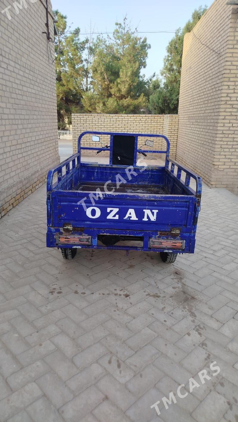 Ozan 200CC 2015 - 15 000 TMT - Halaç - img 6
