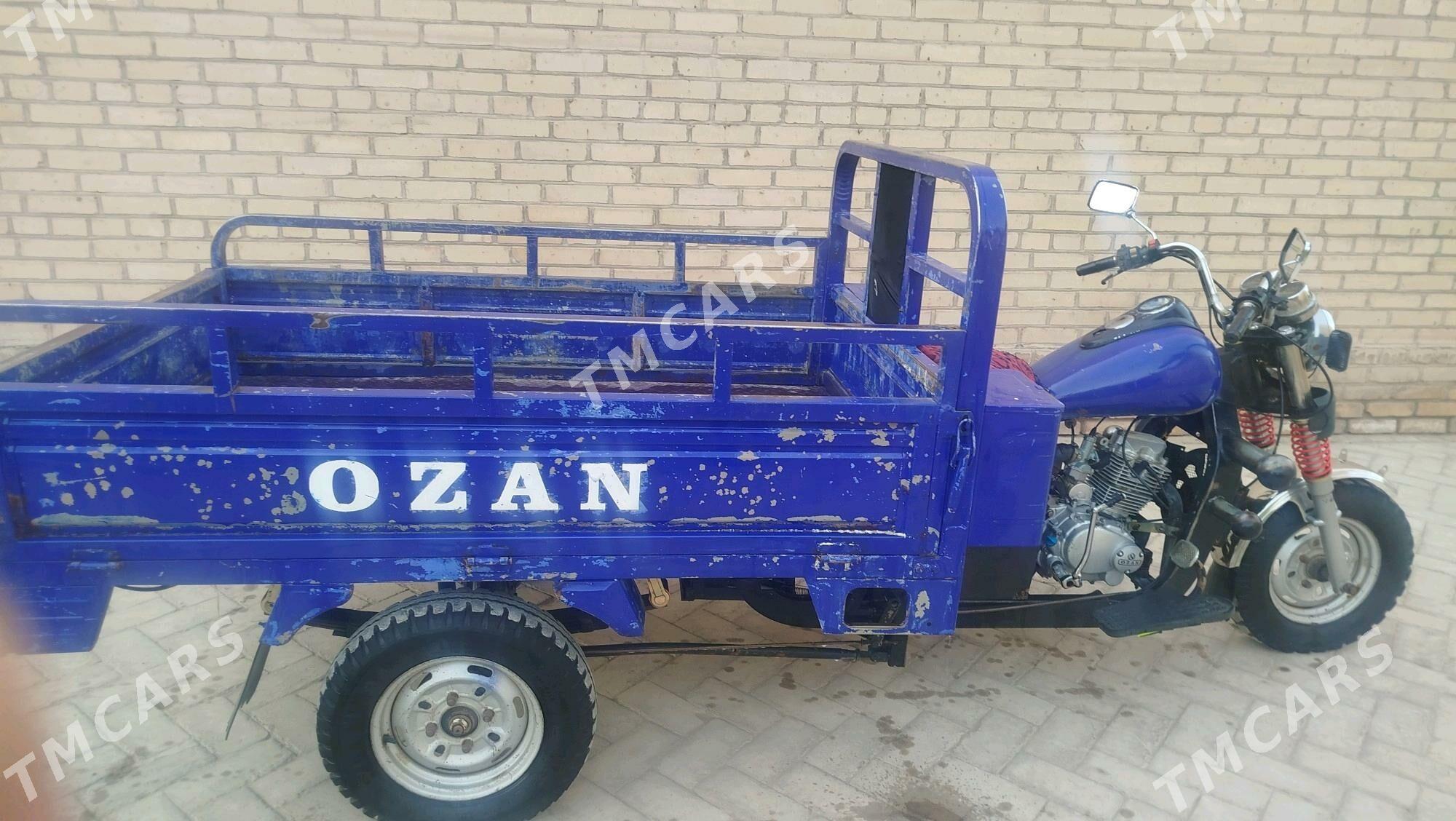 Ozan 200CC 2015 - 15 000 TMT - Halaç - img 8